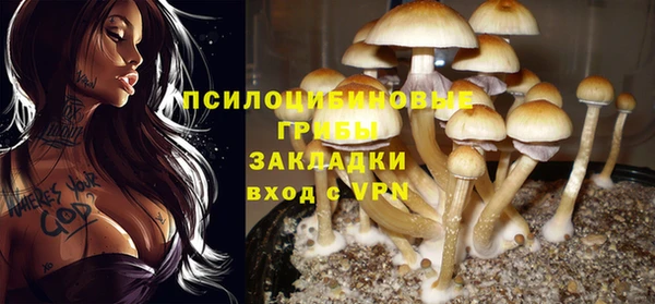 кокаин колумбия Богданович