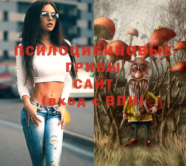 прущий лед Аркадак